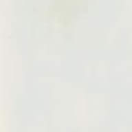 Bardiglio Acqua Bianca Bardiglio Acqua Bianca